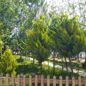  Frühstückspension Deniz Kizi Garden Türkei